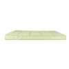 FREEDOG colchón Glacial verde claro 91x58x5 cm