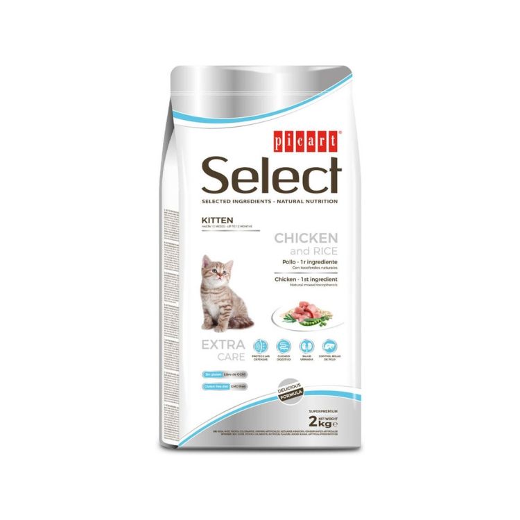 SELECT gato kitten