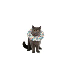 FREEDOG collar isabelino soft Butterfly