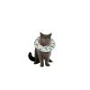 FREEDOG collar isabelino soft BUTTERfly 25 cm