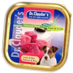 DR CLAUDER perro adulto salmón arroz tarrina 100 gr