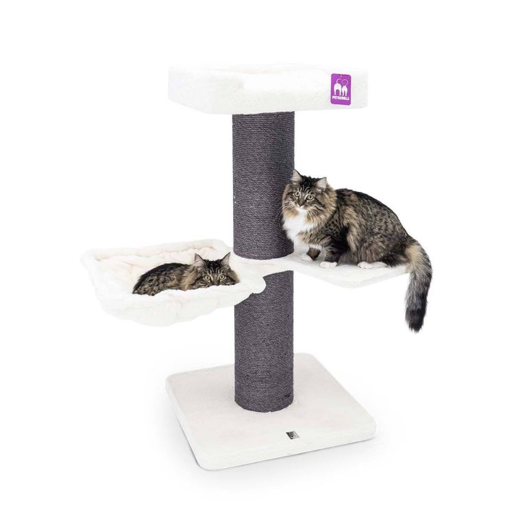 PET REBELS rascador Maine coon 117cm