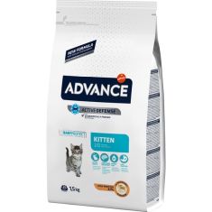 ADVANCE gato kitten