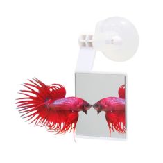 ICA betta espejito Strike