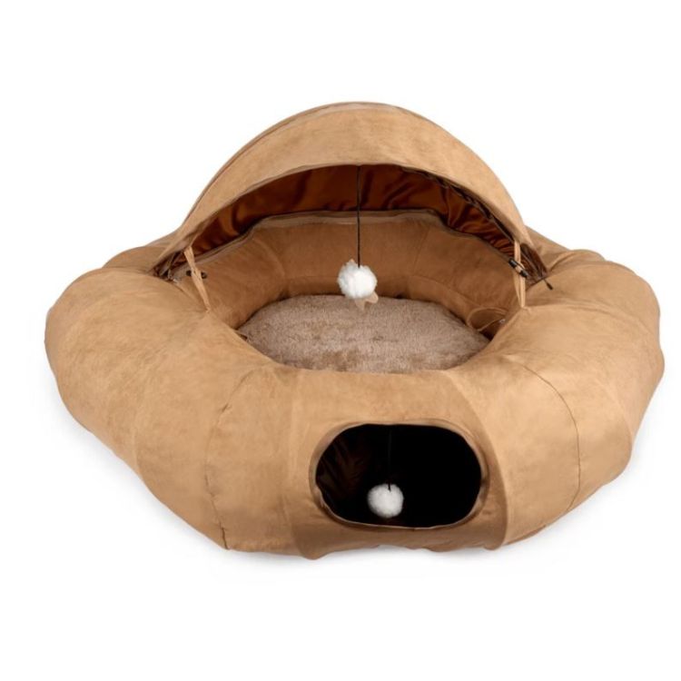 AFP gato donut y tunel marron