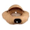 AFP gato donut y tunel marron