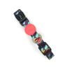 ALMA collar boreal m