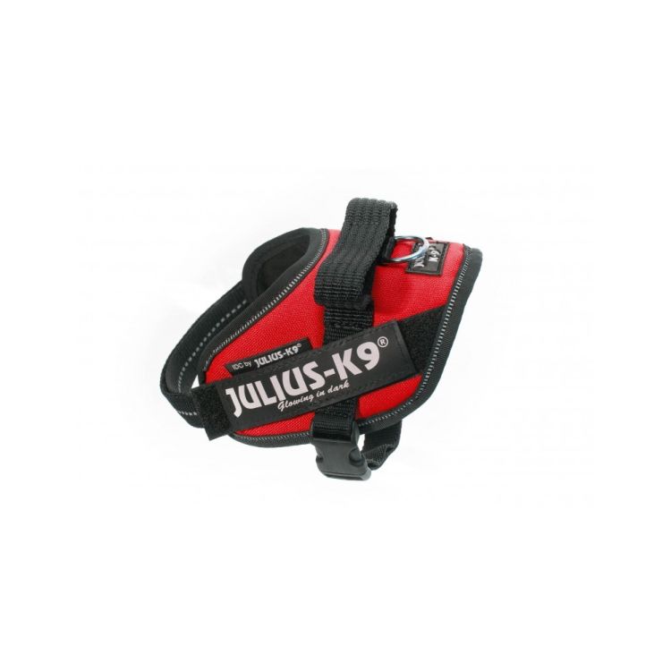 JULIUS K9 IDC rojo