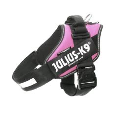 JULIUS K9 IDC rosa