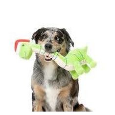 FUZZYARD perro juguete Lit-a-Saurus