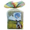 ICA Vit pro roedores heno zanahoria y equinacea 500 gr