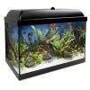 ICA Aqualed kit interior pro negro 25
