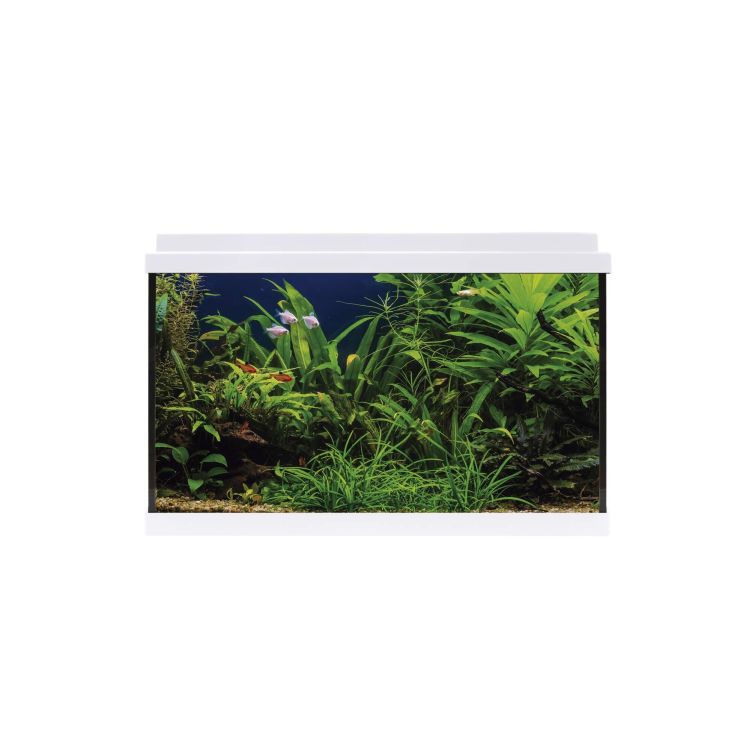 ICA Aqualed kit interior blanco 64
