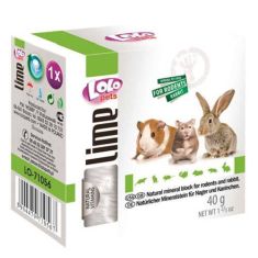 ICA Lolo roedor bloque de lima 40 gr