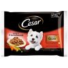CESAR perro adulto buey pate tarrina 150 gr