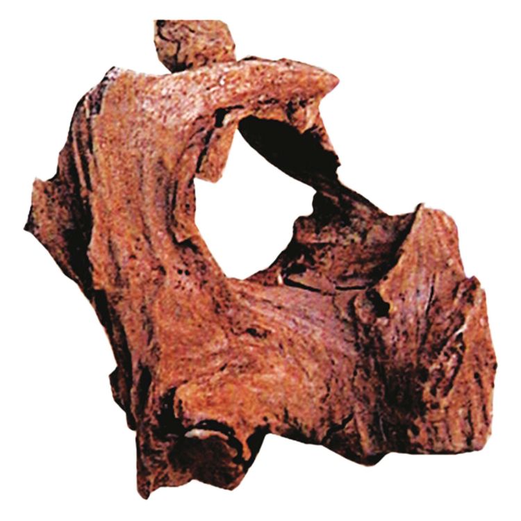 ICA tronco Driftwood saco