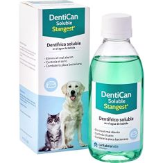 STANGEST dentican soluble 250