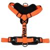 NAYECO arnes x-trm cronos neon naranja 25 mm