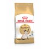 ROYAL CANIN gato adulto Siamese 2 kg