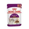ROYAL CANIN gato adulto adulto pouch sensory smell 85 gr