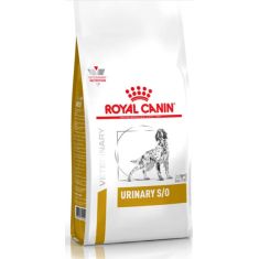 ROYAL CANIN perro adulto dieta urinary