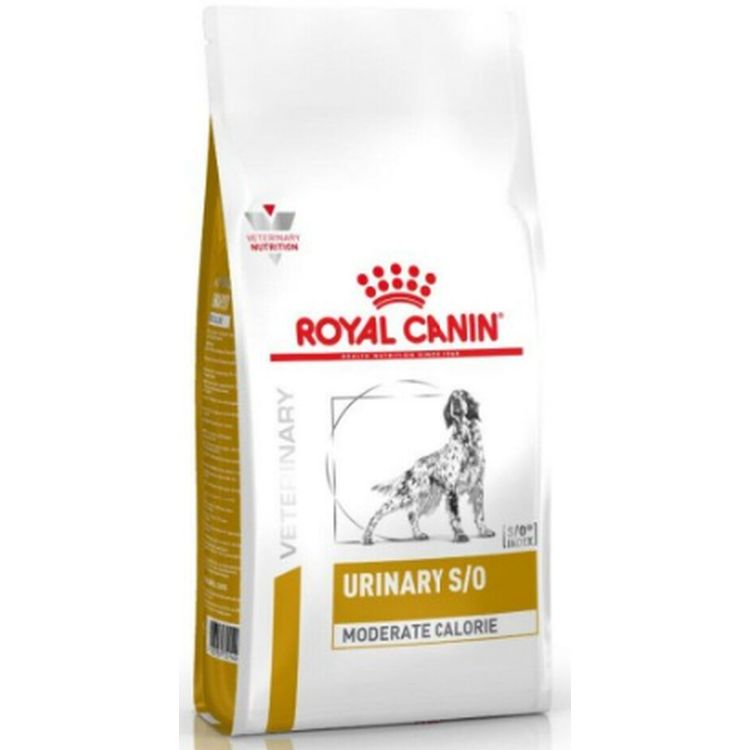 ROYAL CANIN perro adulto dieta urinary moderate