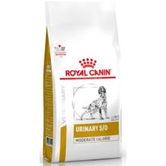 ROYAL CANIN perro adulto dieta urinary moderate