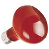 ICA Repti Selva bombilla infraroja 50 w