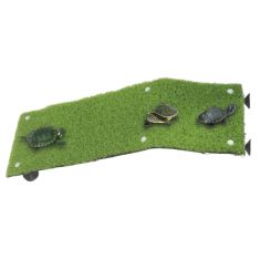 ICA tortuga rampa