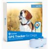 TRACTIVE GPS DOG
