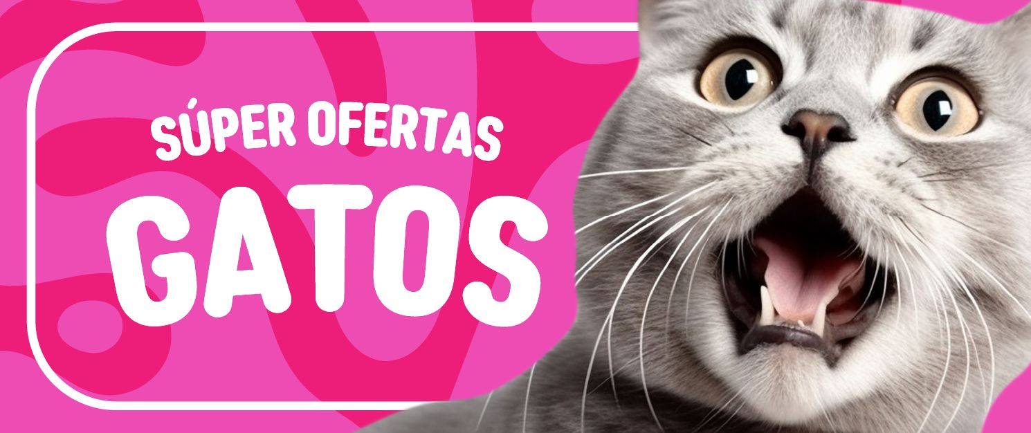 gato
