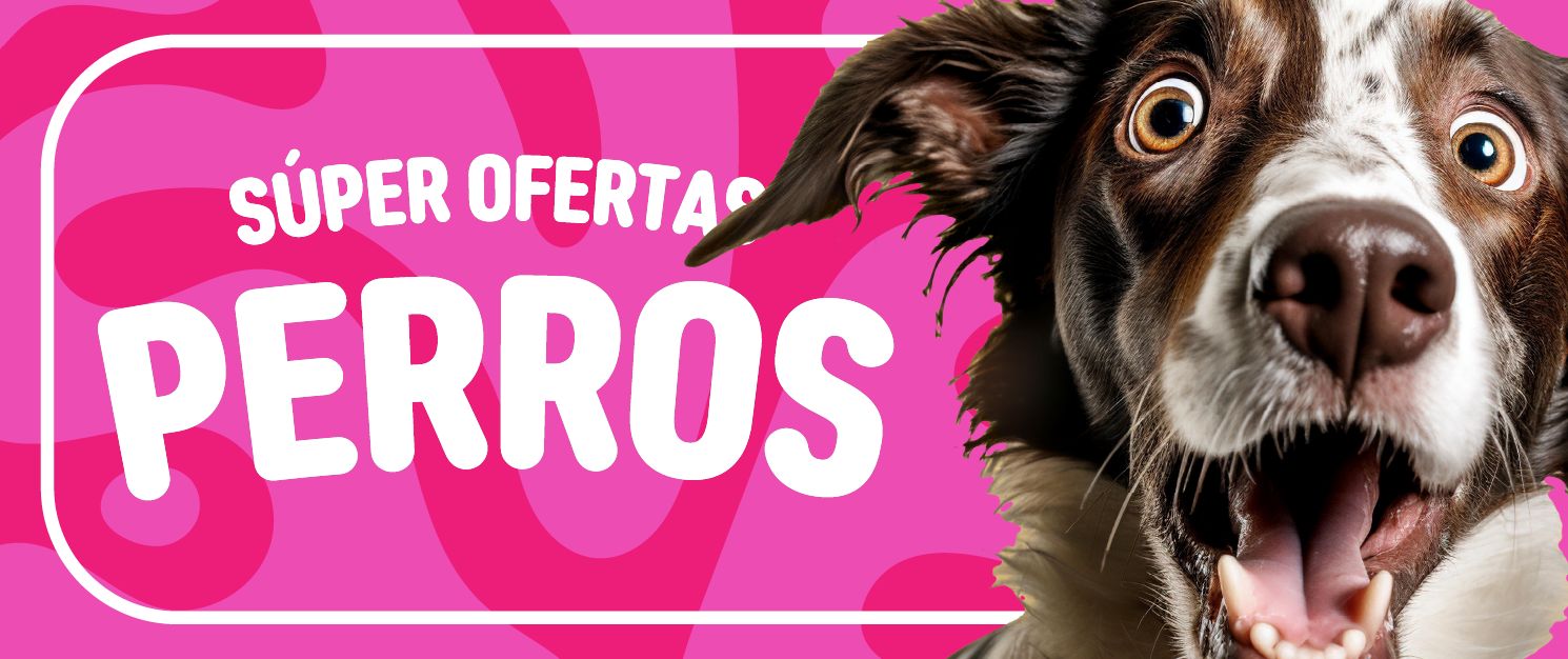 perro